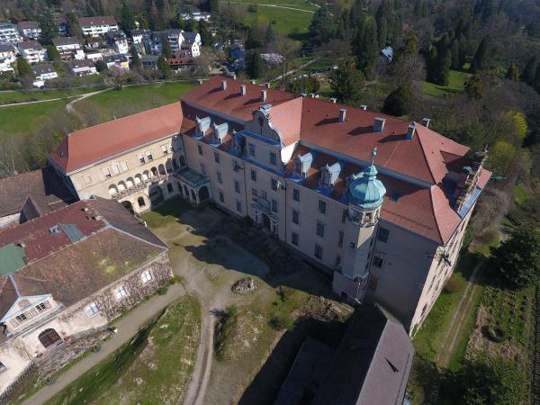 Neues Schloss 8 Jahre nach Neueindeckung , Sanierungsstand 03/2020