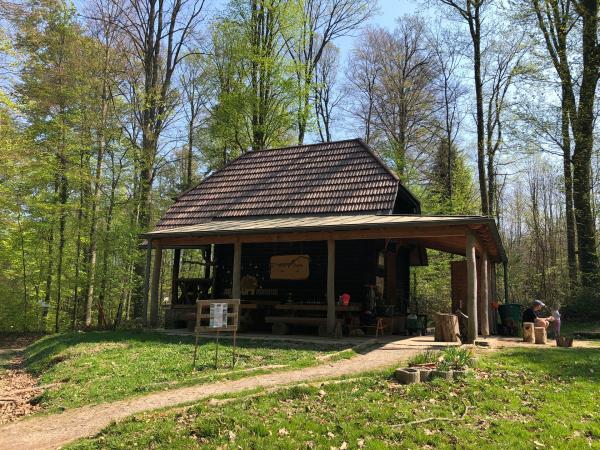 Hirschackerhütte, Umbau zum Waldkindergarten